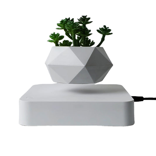 Magnetic Levitating Plant ™